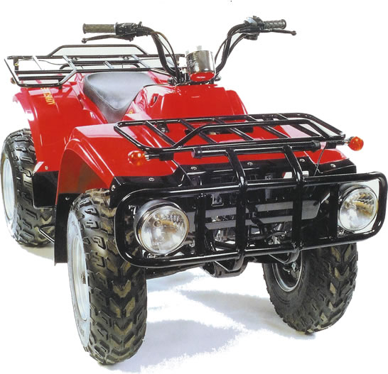 250cc Quad Bike Dirt Riders